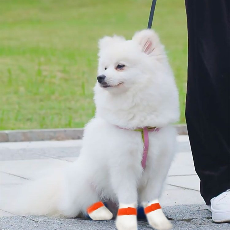 20PC/Lot Pet Disposable Paw Sh - огляд і ціна Dust Shoe Cnc